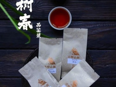 成都湿热下的云南普洱，加速陈化的特有魅力之旅