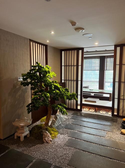 成都茶馆里的都市禅意，冥想时光